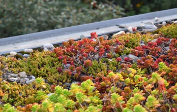 the cost of Boswin green roof installation